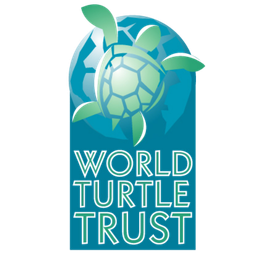 WORLD TURTLE TRUST