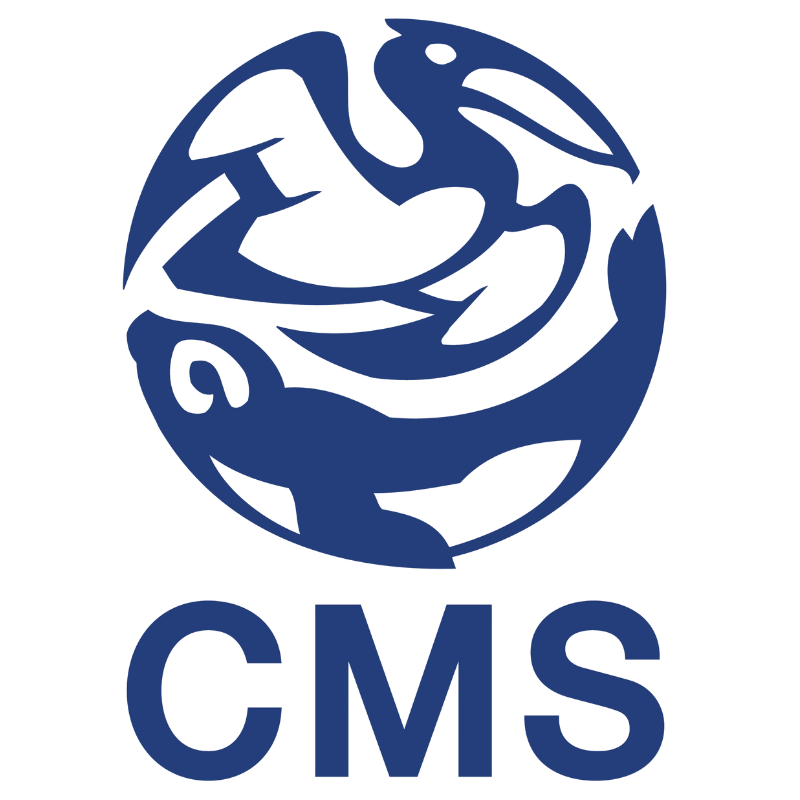 CMS