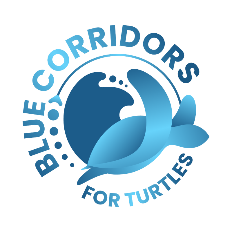 Blue Corridors